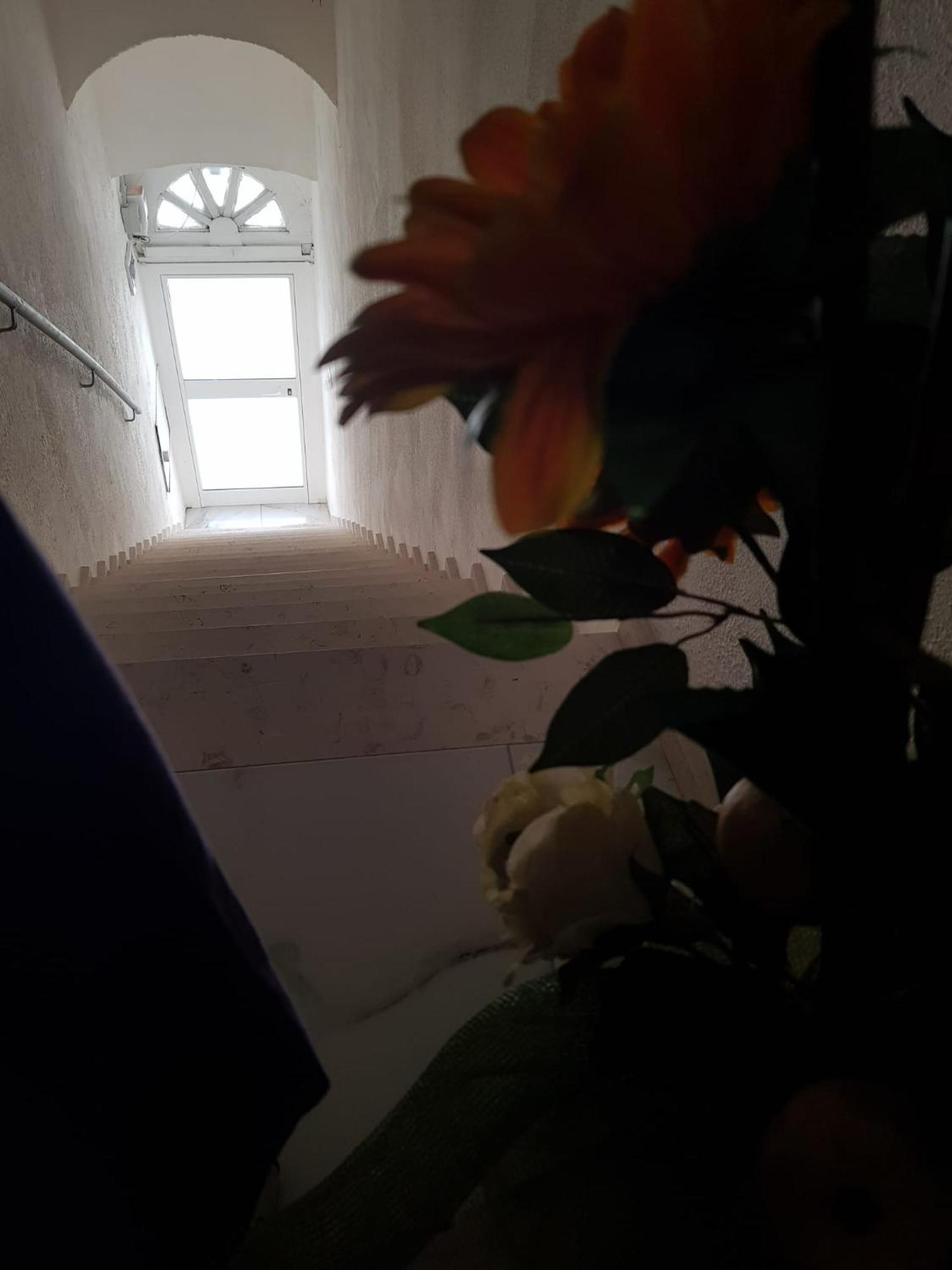 Di Fronzo Guest House T Триджано Экстерьер фото